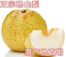 碭山梨碭山酥梨